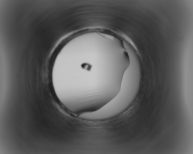 X0000084601116200703231921