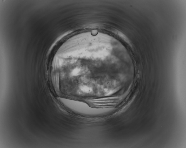 X0000084601117200703231921