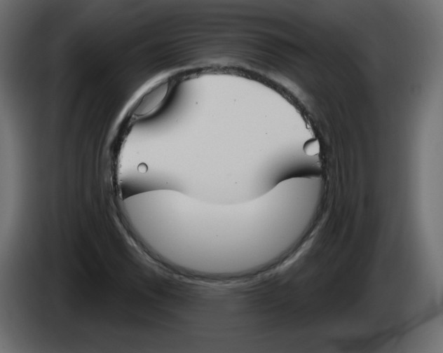 X0000084601118200703231921