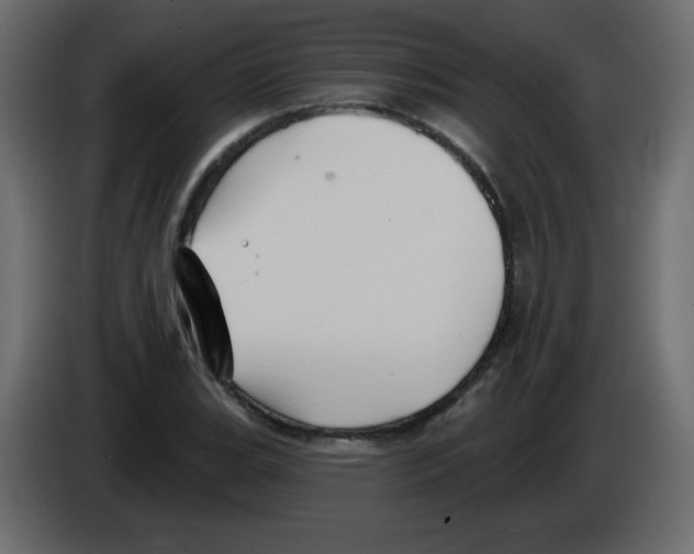 X0000084601119200703231921