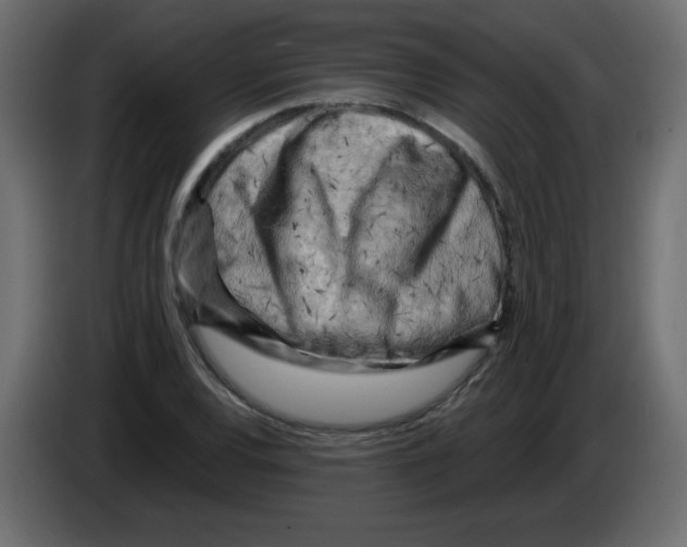 X0000084601120200703231921