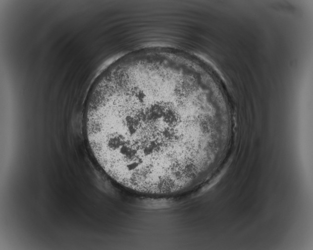 X0000084601121200703231921