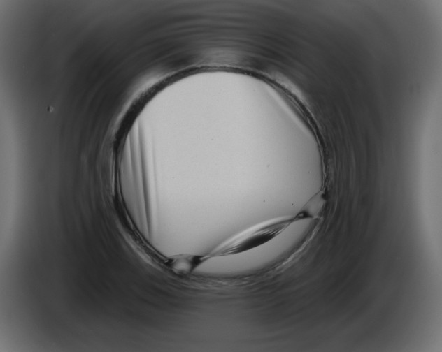 X0000084601123200703231921