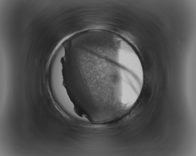 X0000084601127200703231921