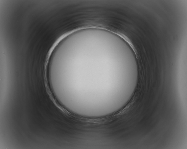 X0000084601128200703231921