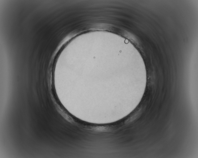 X0000084601130200703231921