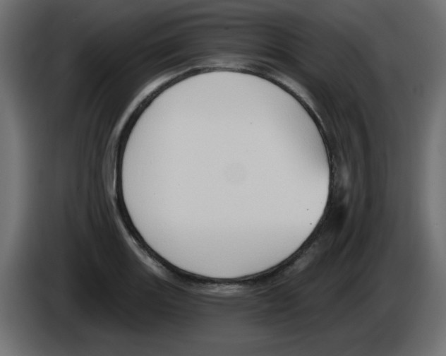 X0000084601131200703231921