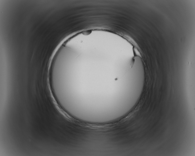 X0000084601132200703231921