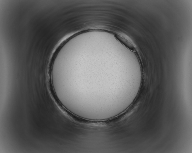 X0000084601133200703231921