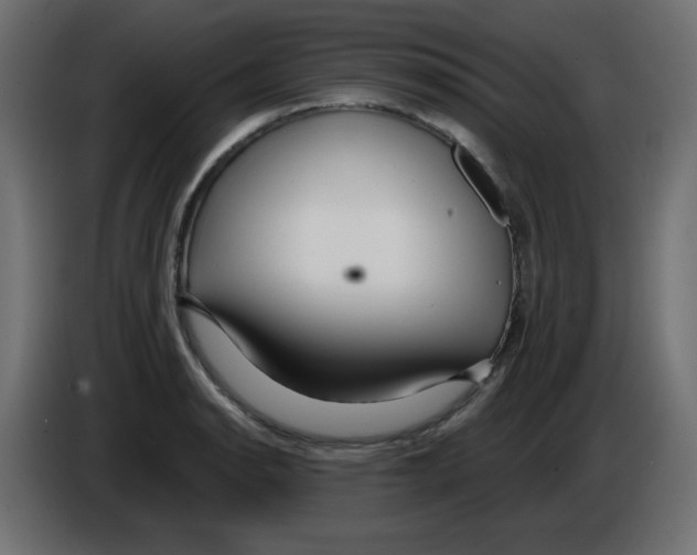 X0000084601134200703231921