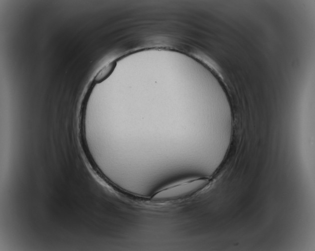 X0000084601135200703231921