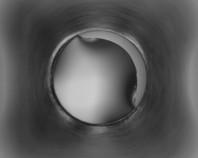 X0000084601136200703231921