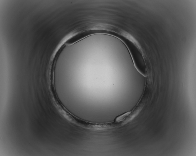 X0000084601138200703231921