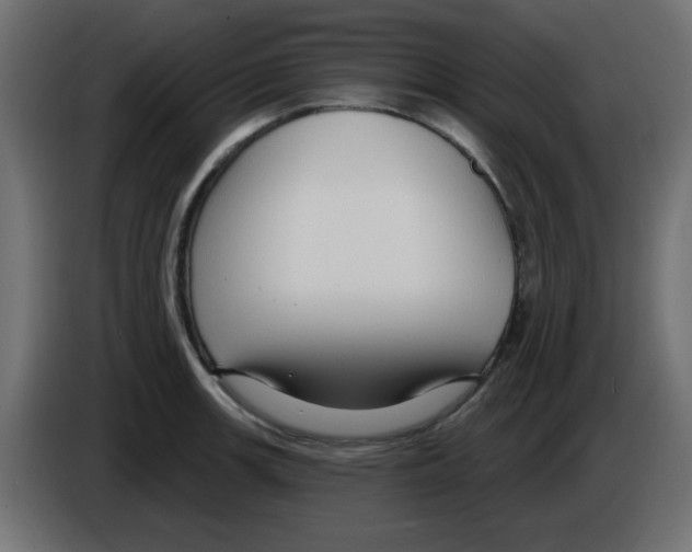 X0000084601139200703231921