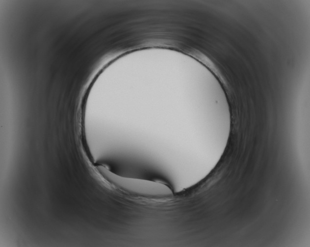 X0000084601140200703231921