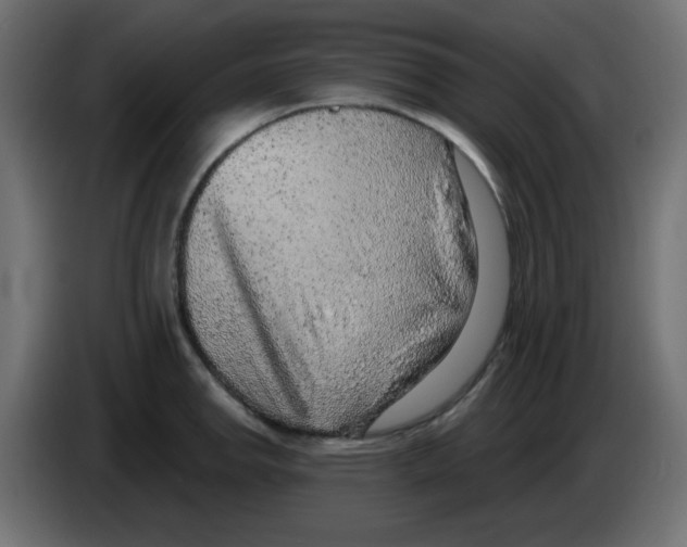 X0000084601142200703231921