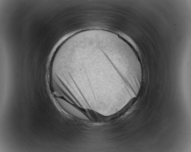 X0000084601144200703231921