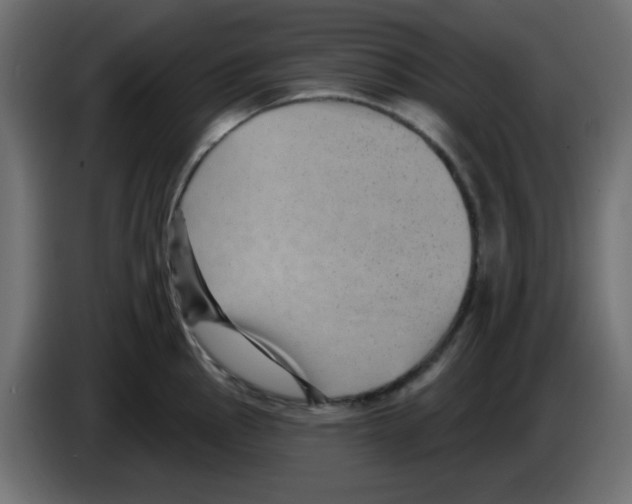 X0000084601145200703231921