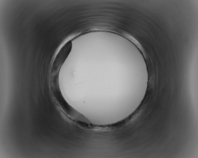 X0000084601146200703231921