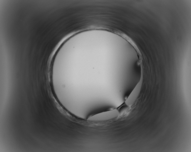 X0000084601148200703231921