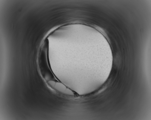 X0000084601149200703231921