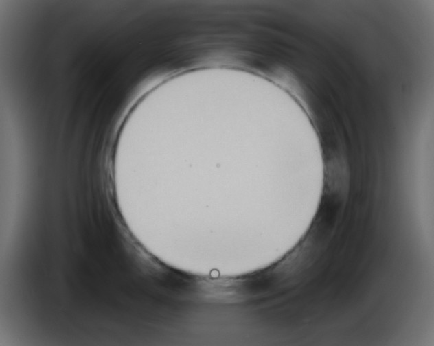 X0000084601150200703231921