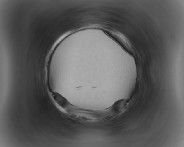 X0000084601151200703231921