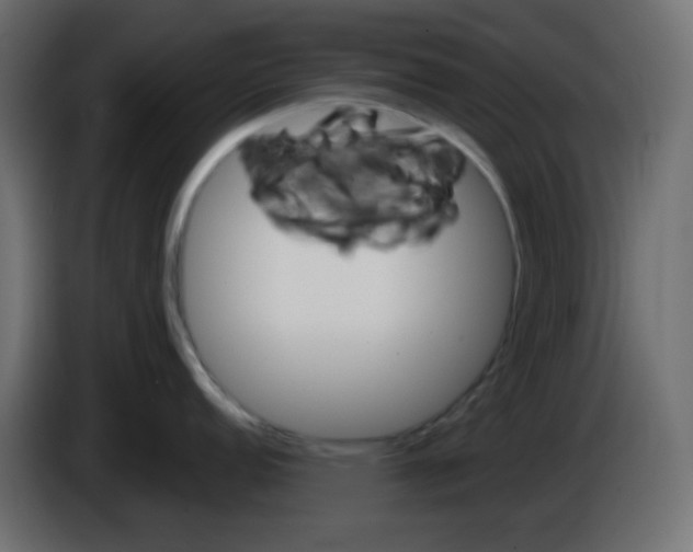 X0000084601152200703231921