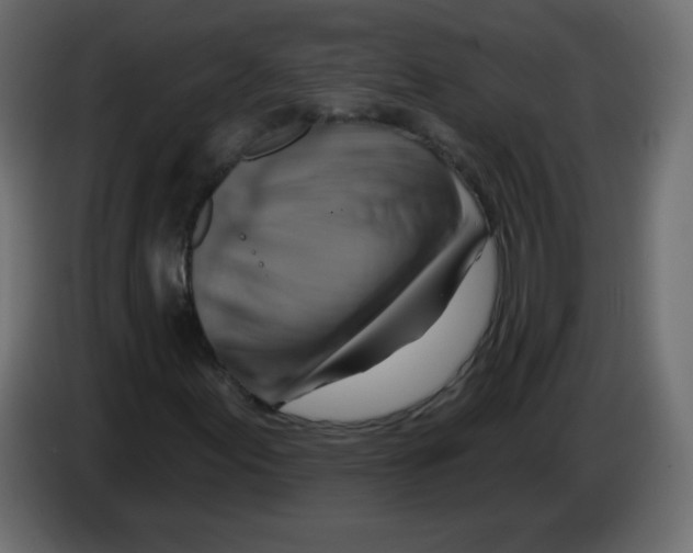 X0000084601155200703231920