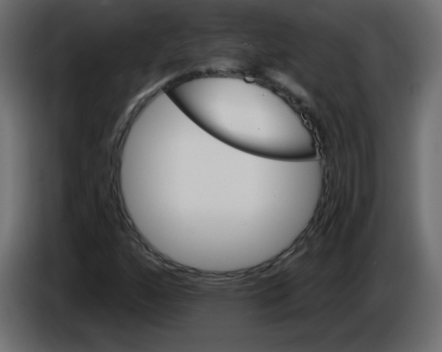 X0000084601160200703231920