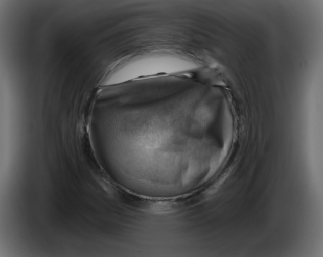 X0000084601161200703231920