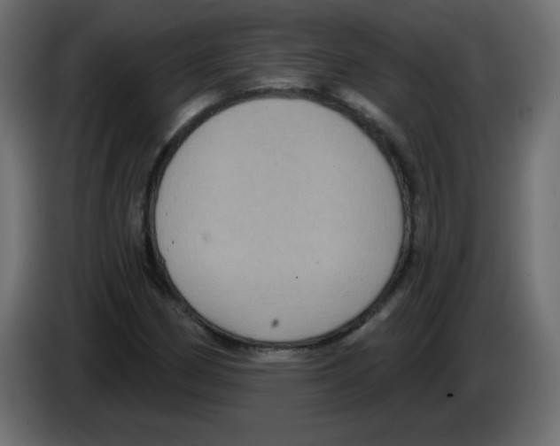 X0000084601162200703231920