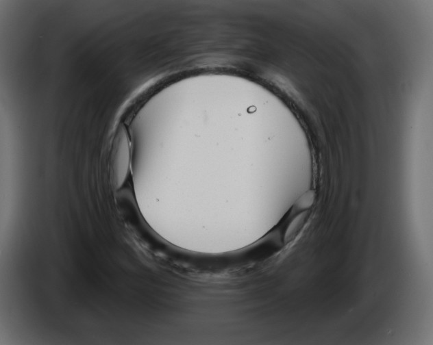 X0000084601164200703231920