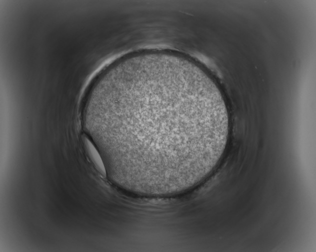 X0000084601167200703231920