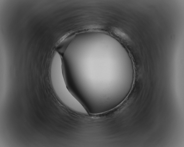 X0000084601169200703231920