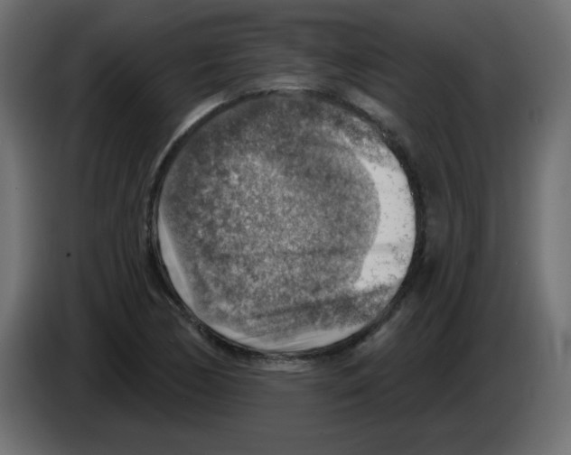 X0000084601170200703231920