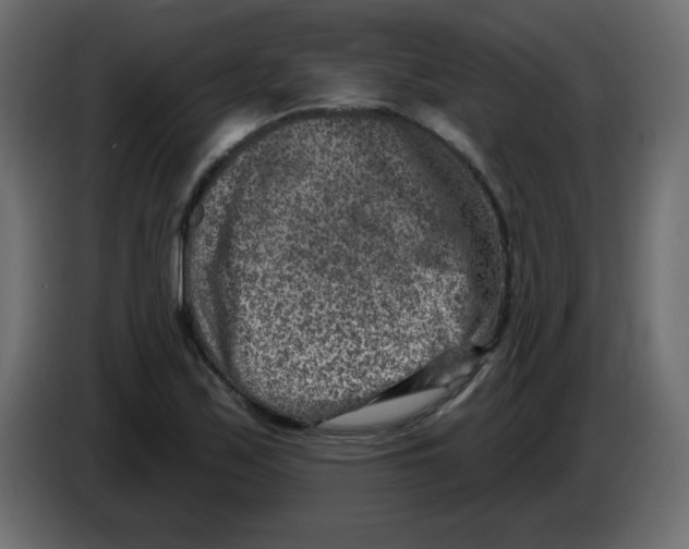 X0000084601171200703231920