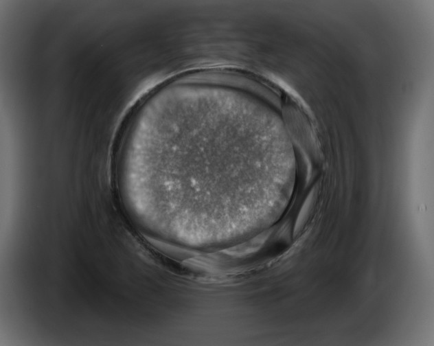 X0000084601173200703231920