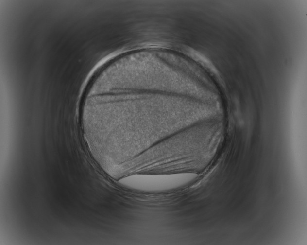 X0000084601174200703231920