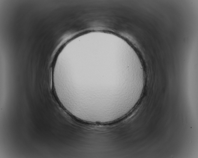 X0000084601175200703231920