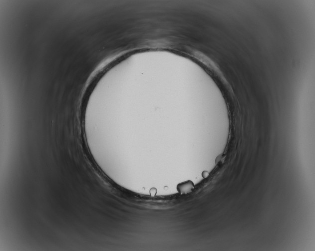 X0000084601176200703231920