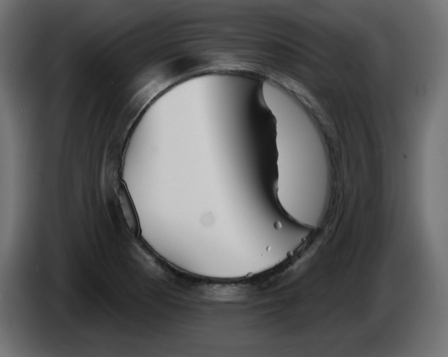 X0000084601177200703231920