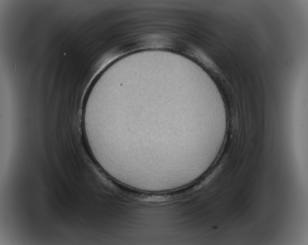 X0000084601178200703231920