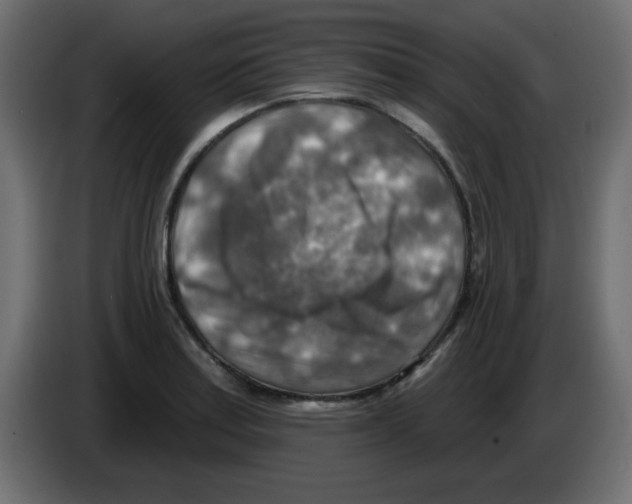 X0000084601179200703231920