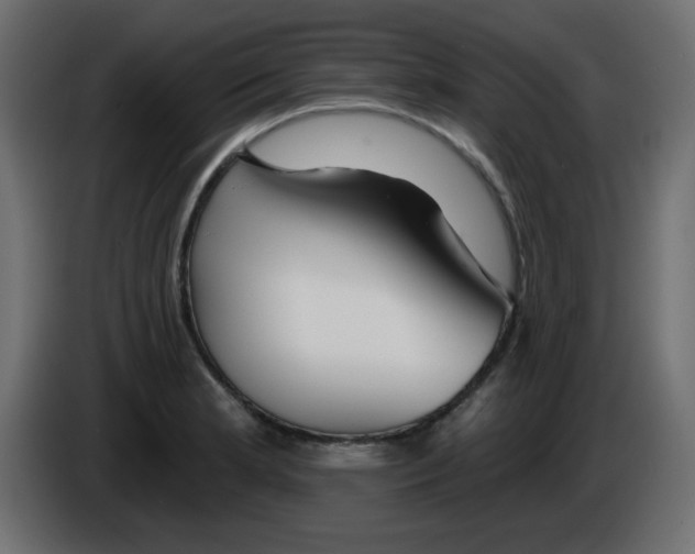 X0000084601181200703231920