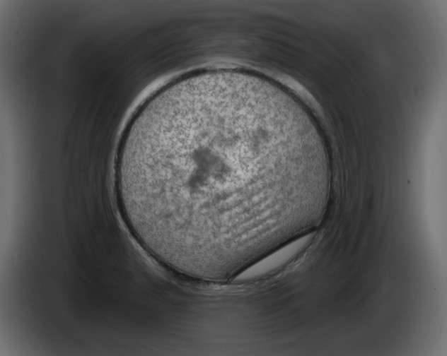 X0000084601183200703231920