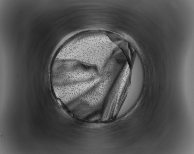 X0000084601184200703231920