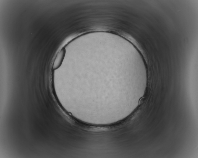 X0000084601187200703231920