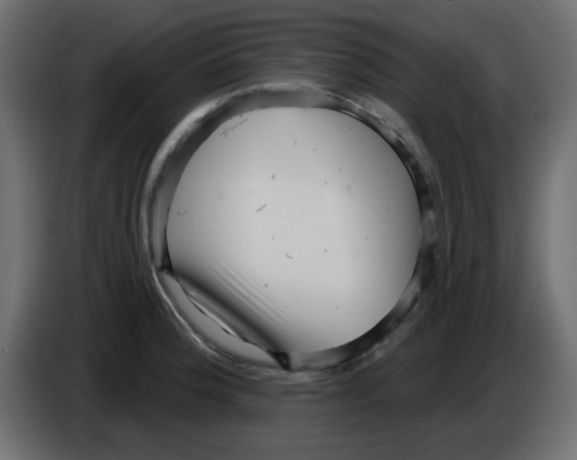 X0000084601188200703231920