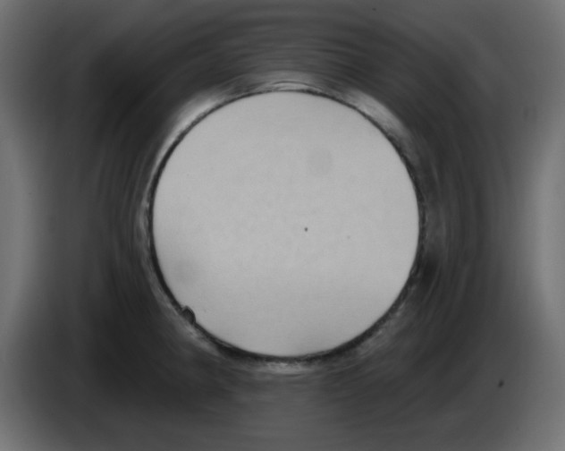 X0000084601190200703231920